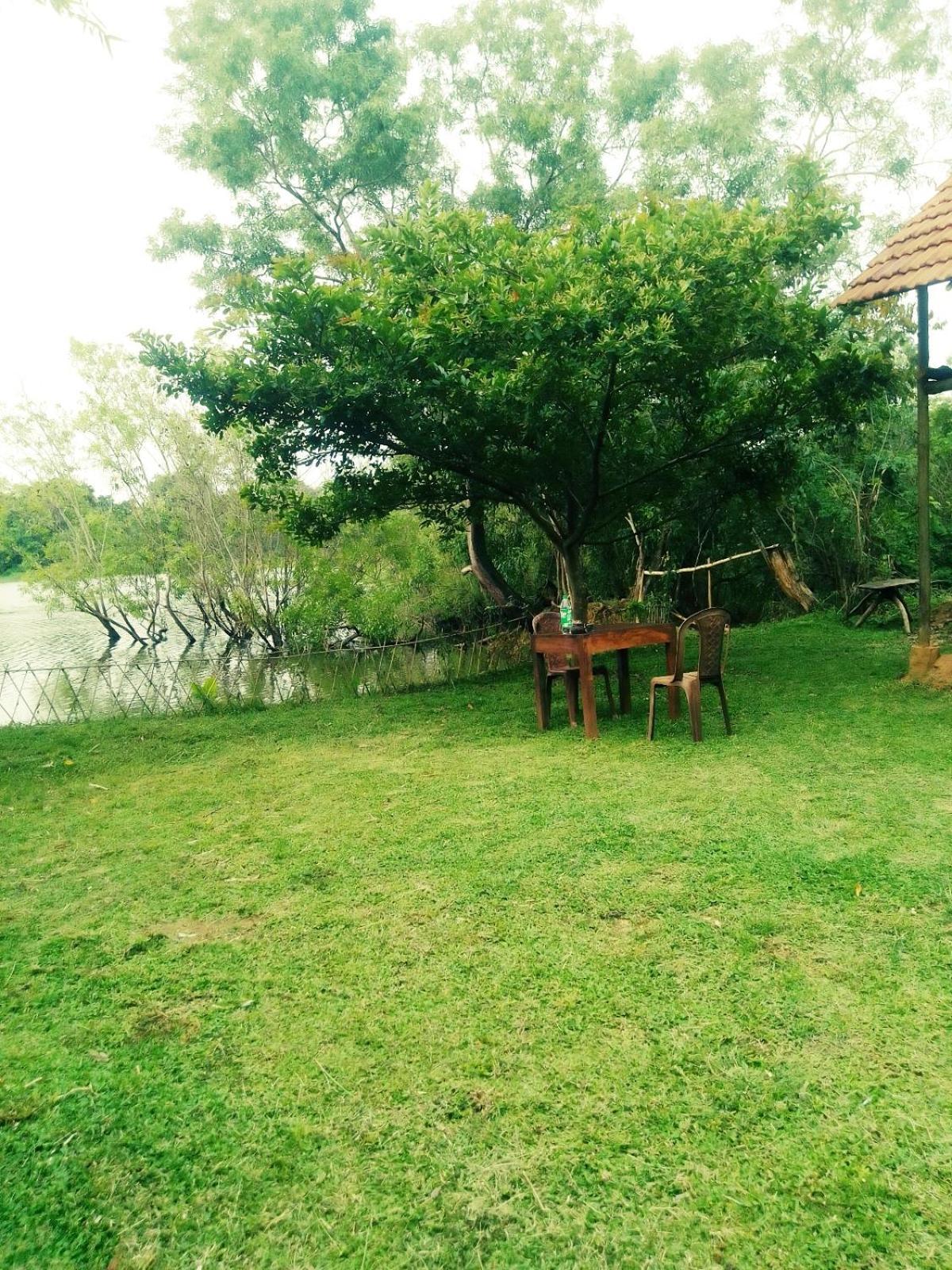 Sigiri Wild Lake Dambulla Bilik gambar